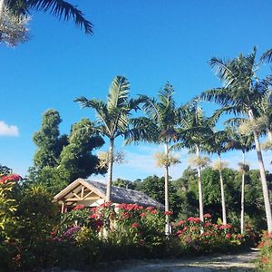 Bungalow Garden View